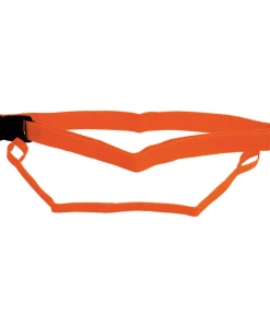 Swim Secure - Waist Belt And Leash